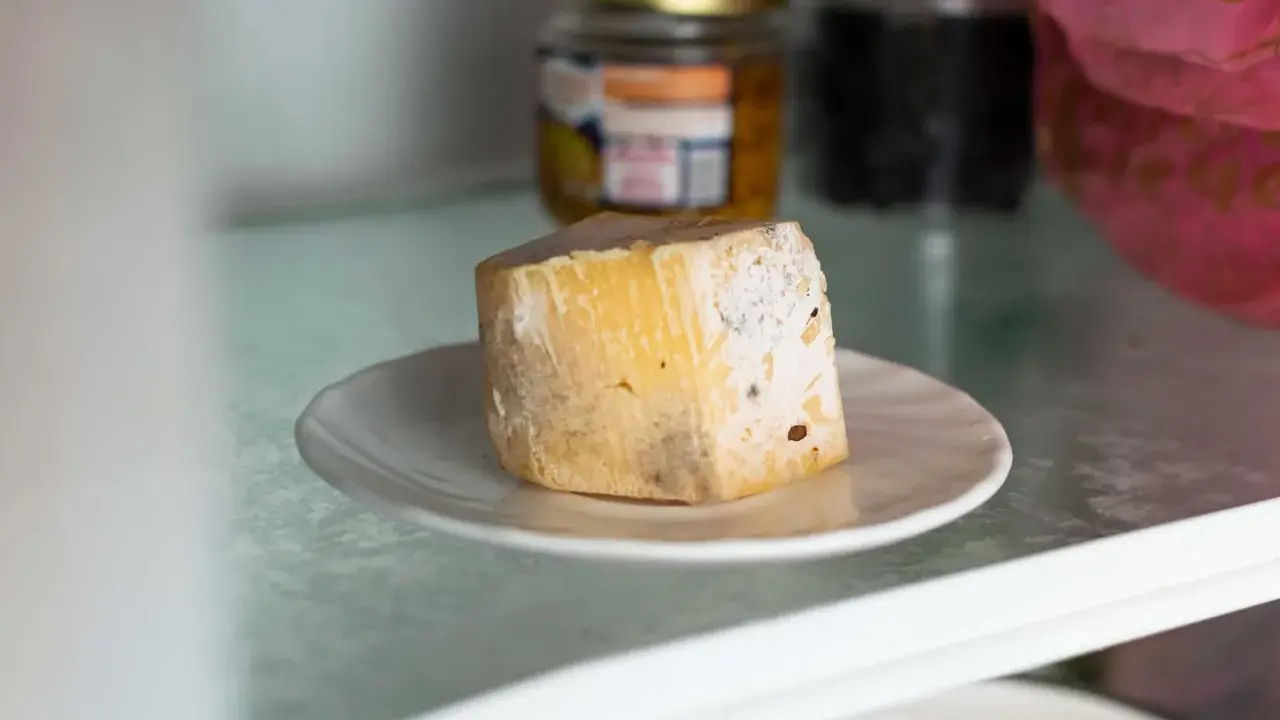 Un morceau de fromage moisi sur une assiette. Combien de temps ce gâteau périmé est-il resté au réfrigérateur ?