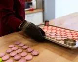 Préparation pour la cuisson macaron four traditionnel : une plaque de macarons roses et roses est prête, des cercles à pâtisserie sont à proximité.