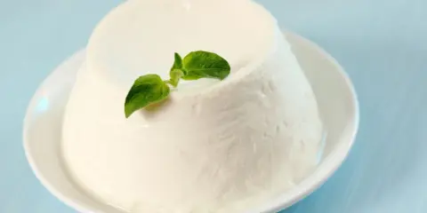 Un dôme de ricotta crémeuse, garni d'une feuille verte, sur une assiette blanche. Découvrez les ricotta bienfaits pour une alimentation saine.