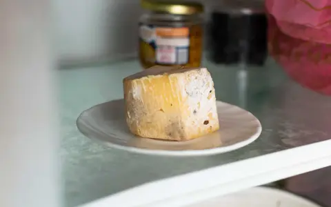 Un morceau de fromage moisi sur une assiette. Combien de temps ce gâteau périmé est-il resté au réfrigérateur ?