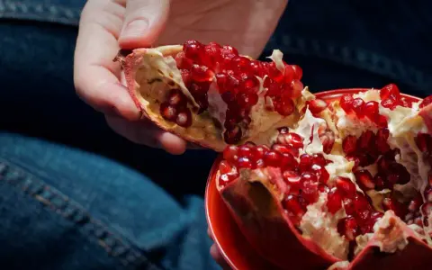 Main d'une personne tenant une grenade fruit éclatée, révélant ses arilles rouges juteuses.