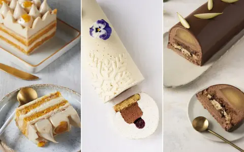 Trois bûches de Noël élégantes : une à la crème et fruits, une blanche givrée, et une au chocolat et poire. Idées pour savoir avec quoi recouvrir une bûche de noël.