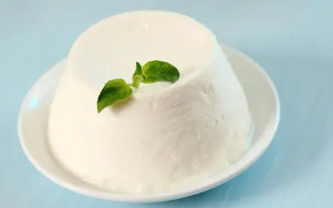 Un dôme de ricotta crémeuse, garni d'une feuille verte, sur une assiette blanche. Découvrez les ricotta bienfaits pour une alimentation saine.