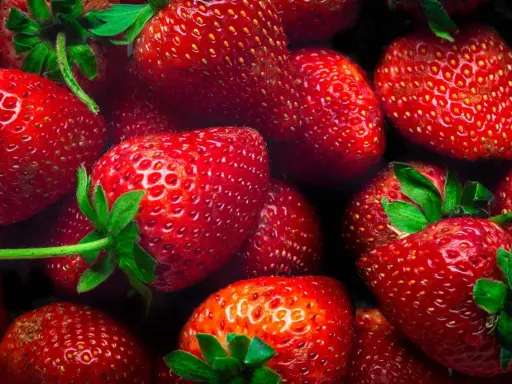 Gros plan sur des fraises rouges et juteuses, parfaites pour conserver leur saveur estivale.