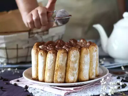 Une main saupoudre de cacao un délicieux charlotte tiramisu, prêt à être dégusté.