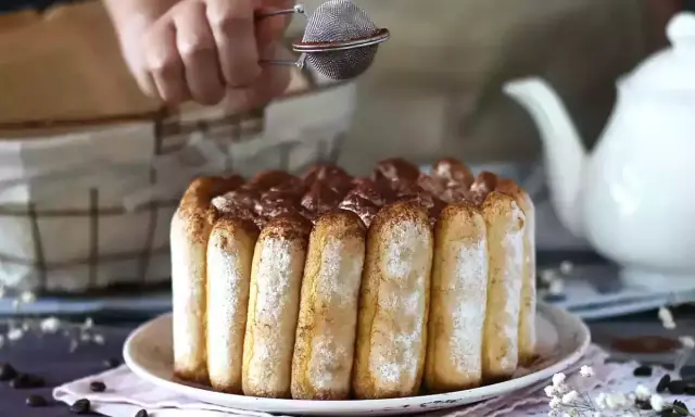 Une main saupoudre de cacao un délicieux charlotte tiramisu, prêt à être dégusté.