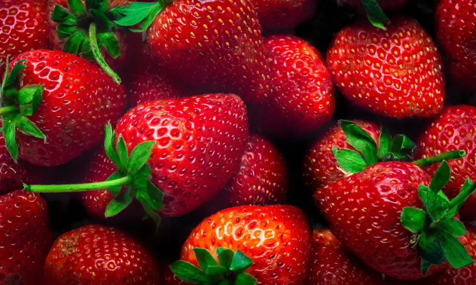 Gros plan sur des fraises rouges et juteuses, parfaites pour conserver leur saveur estivale.