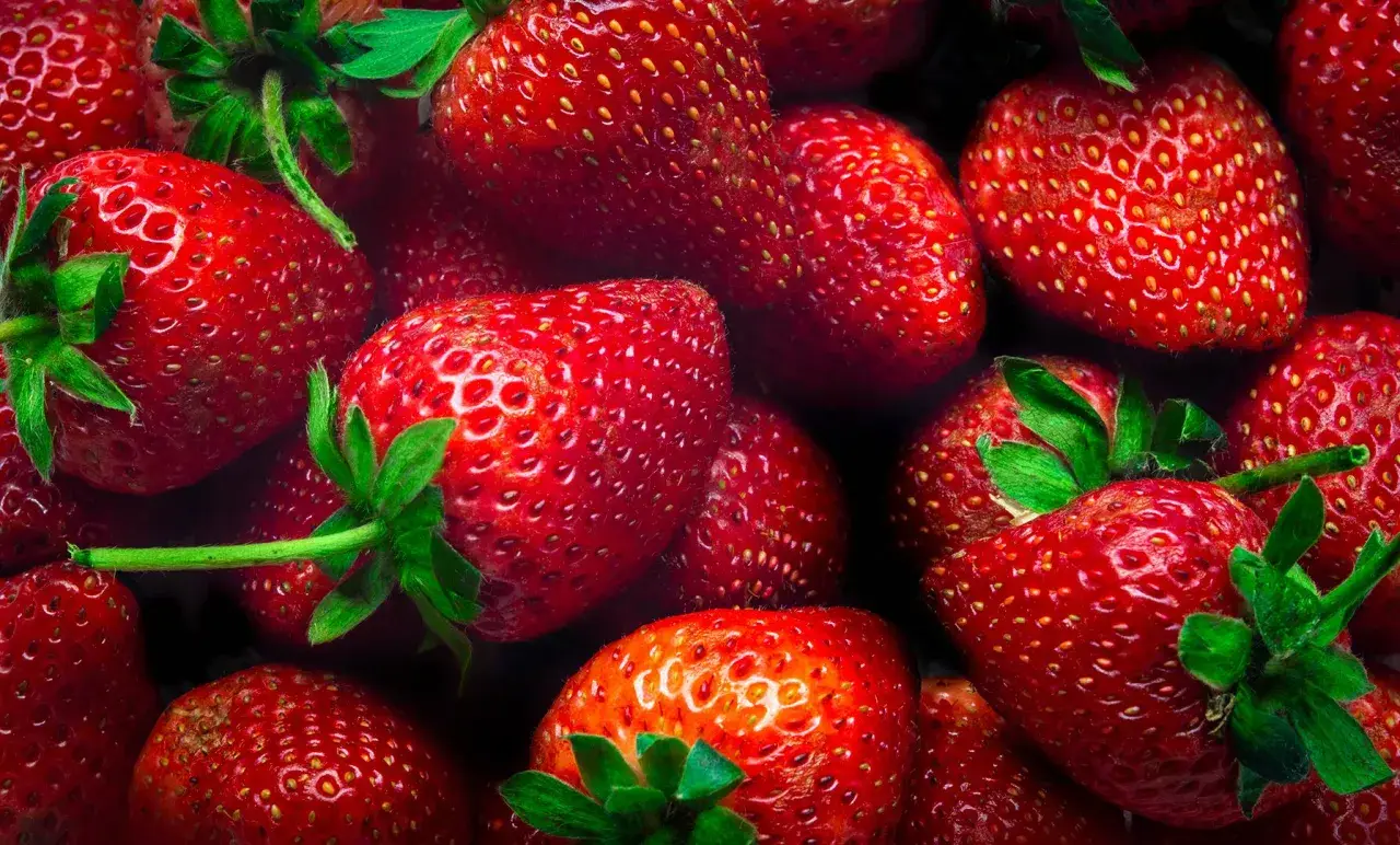 Gros plan sur des fraises rouges et juteuses, parfaites pour conserver leur saveur estivale.