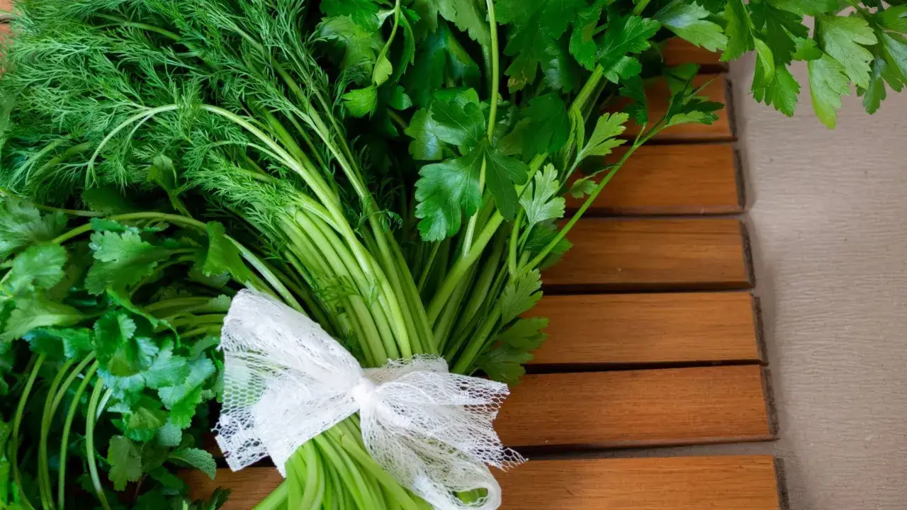 Un bouquet d'herbes fraîches, dont de la menthe, est lié par un ruban blanc. Idéal pour savoir comment conserver de la menthe fraîche.