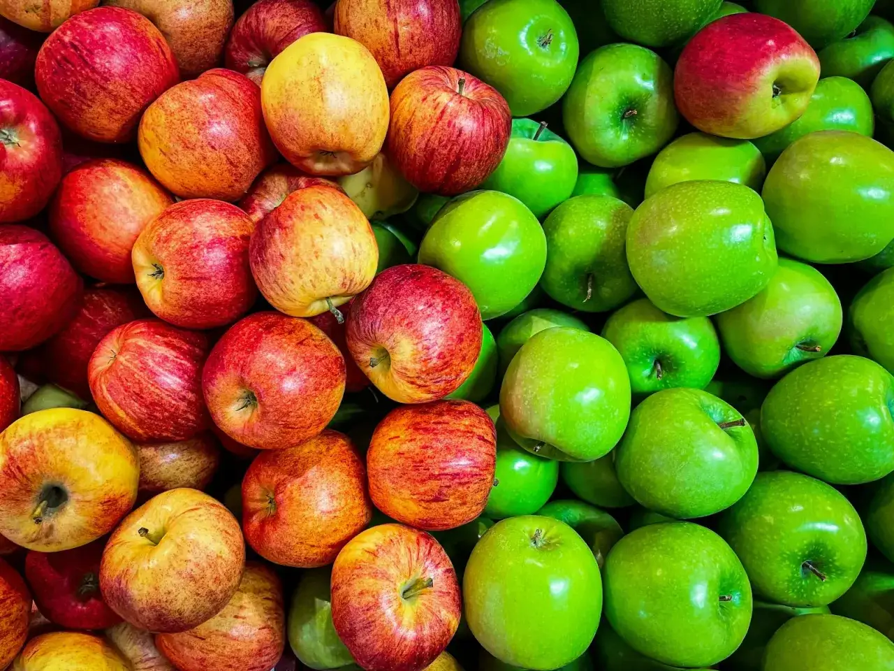Un assortiment de pommes rouges et vertes, certaines marbr&eacute;es, parfaites pour une tarte. Quelle pomme pour tarte choisir ?