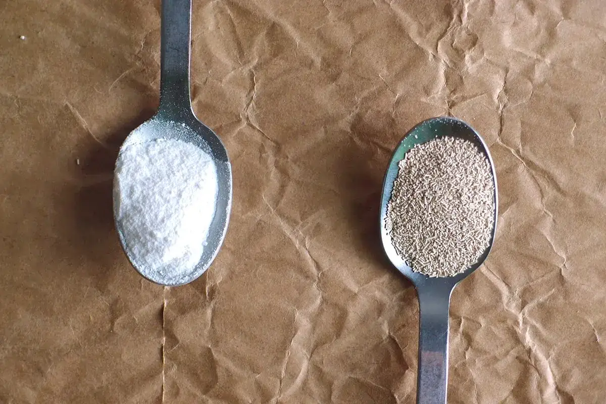Deux cuillères : une avec de la levure de boulanger sèche, l'autre avec du bicarbonate de soude. La question : peut on mélanger levure de boulanger et bicarbonate ?